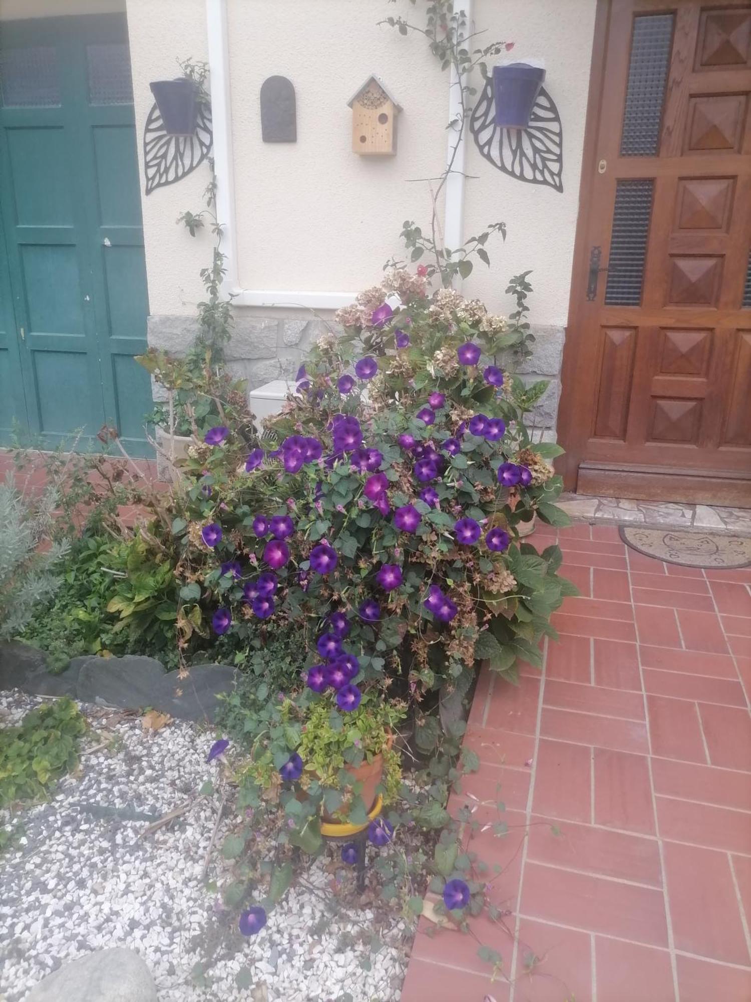 Maison Du Soleil Prades  Bagian luar foto